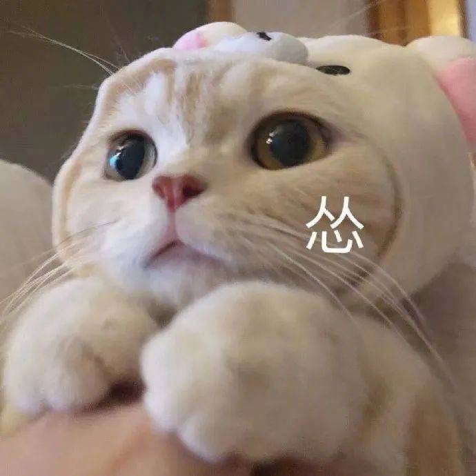 你别这样 我害怕表情包