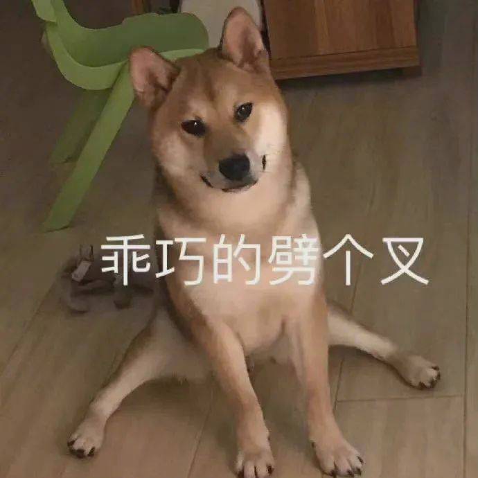 乖巧的劈个叉表情包