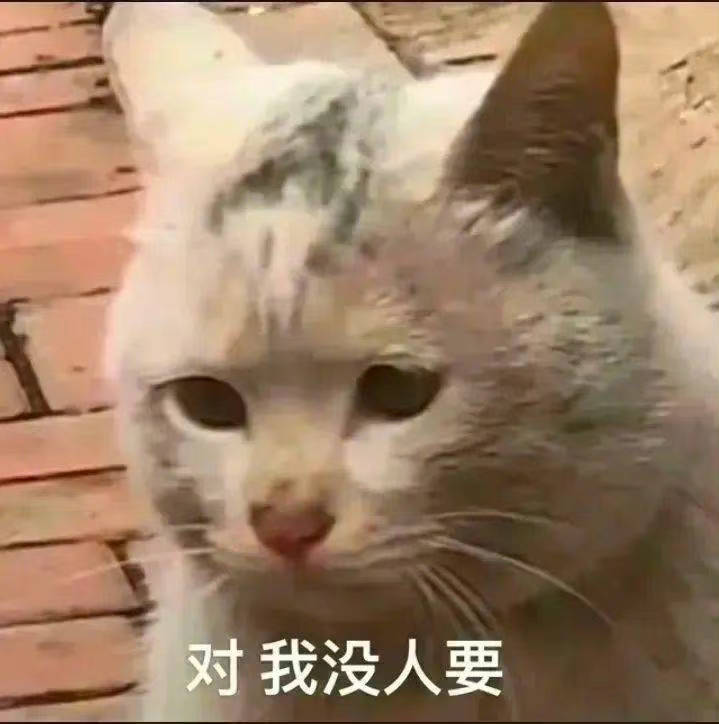 对，我没人要