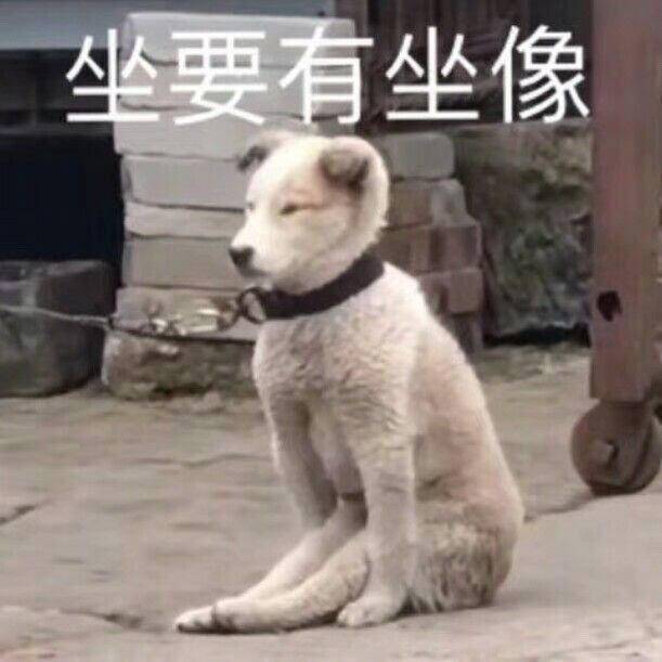 小熊猫拿下了耳机表情包