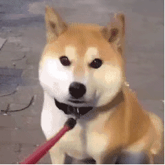 偷偷滴笑