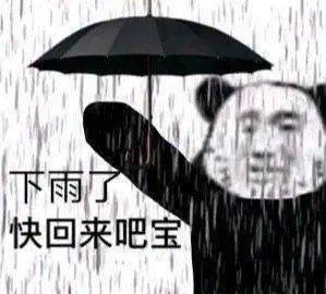 下雨了  快回来吧宝