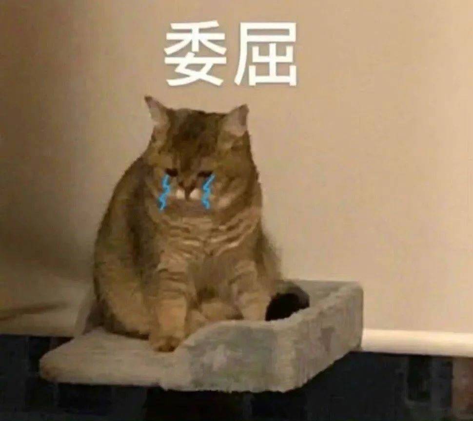 怎么这么讨厌啊表情包