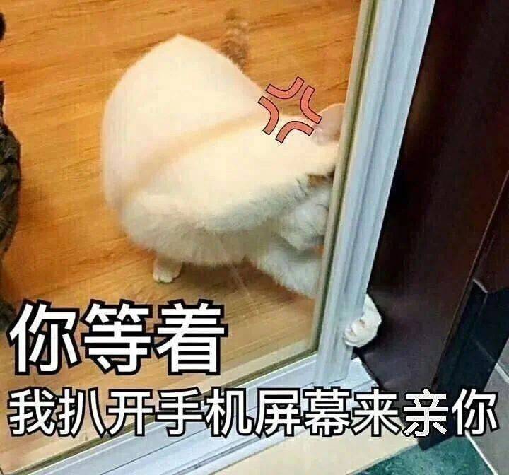 你是什么货色  我就是什么脸色表情包