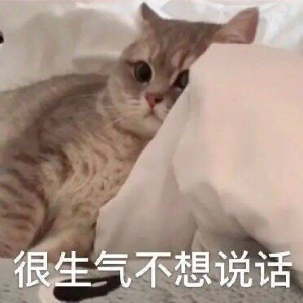 很生气  不想说话表情包