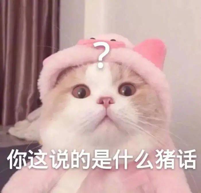 你这说的是什么猪话？