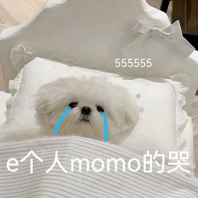 e个人momo的哭