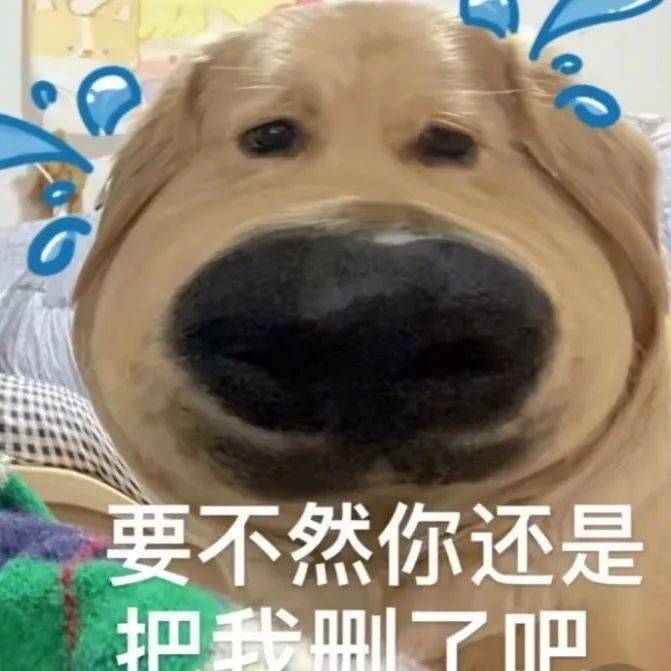 这点痛  算什么