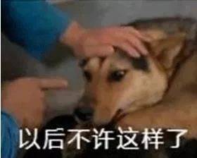 海边微风起 ，等风也等你