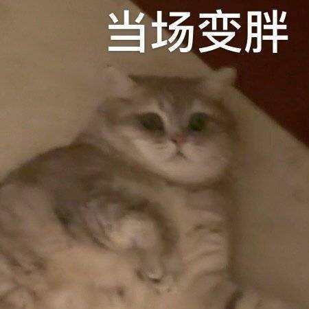 当场变胖表情包