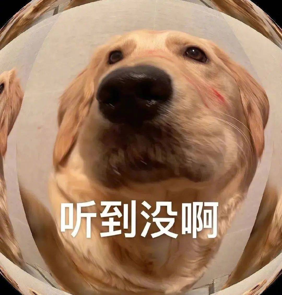 你忍心丢下我？