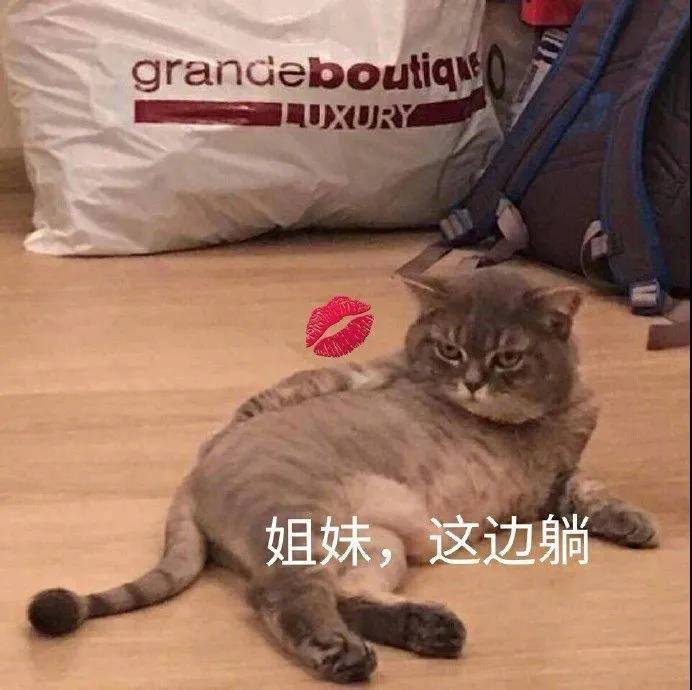 小猪小猪软乎乎  遇到困难呼噜噜表情包