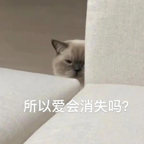 猪猪，什么事？表情包