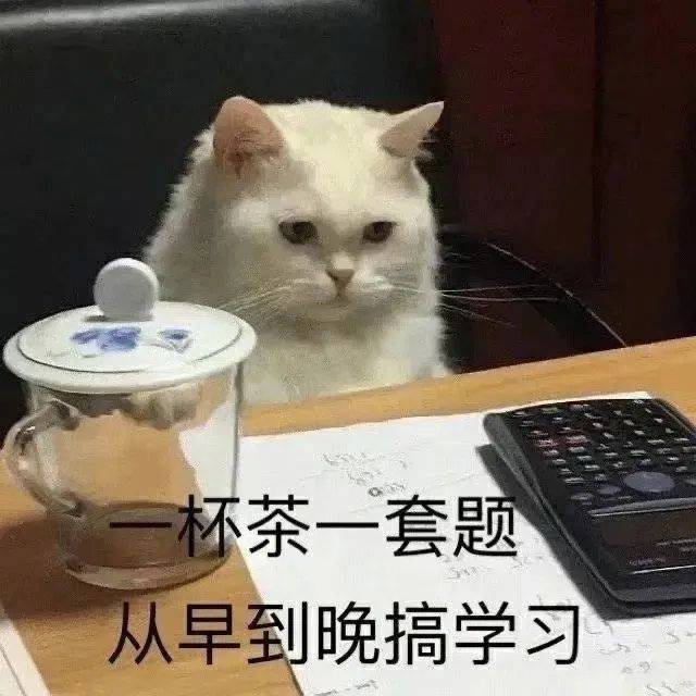 不服 你来打我啊表情包