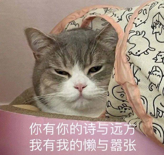 瞧我这记性