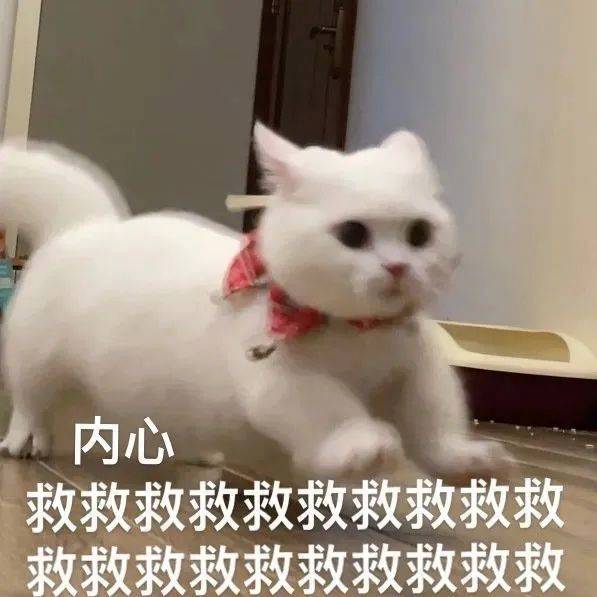 我先走一步