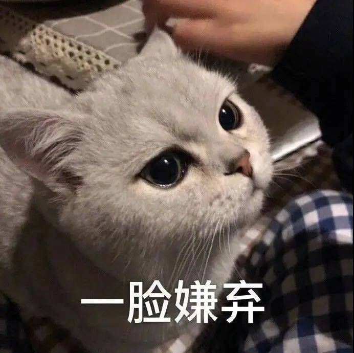 脑阔屁疼屁疼的