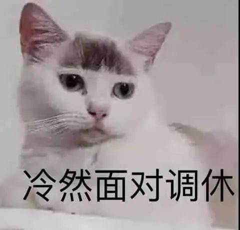 伸个懒腰准备起床