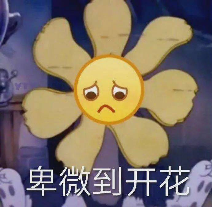 卑微到开花