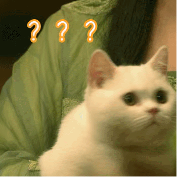 猫猫无语表情包