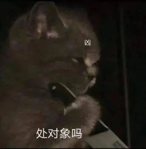 伤心午夜  不会好了