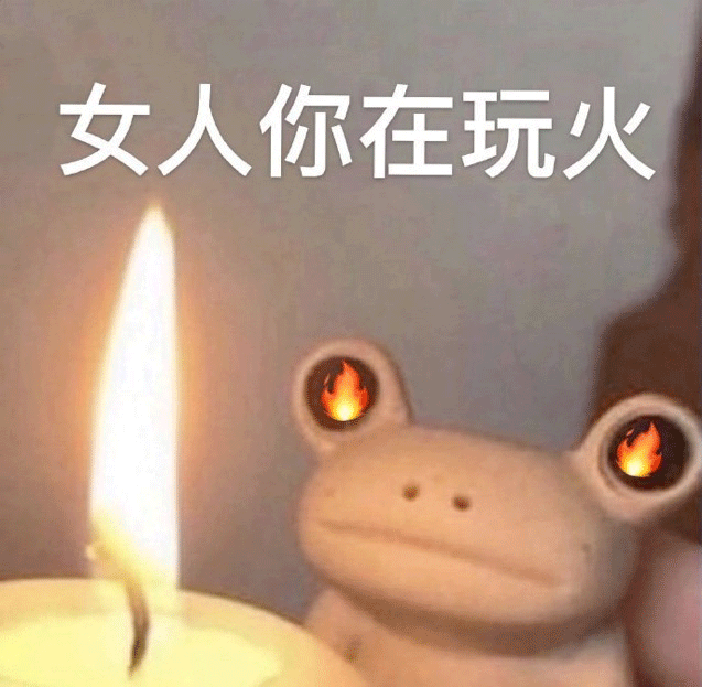 女人你在玩火表情包