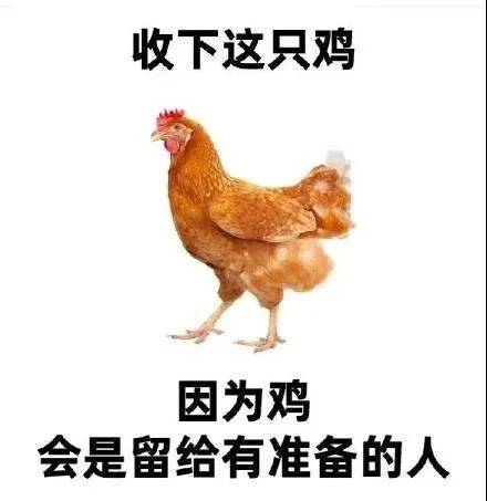 在打螺丝 什么事表情包