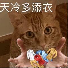 达咩 姐 说不行就不行表情包