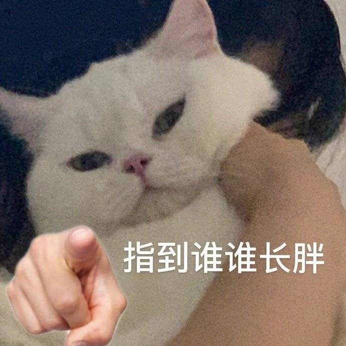 哦豁 回来晚了表情包