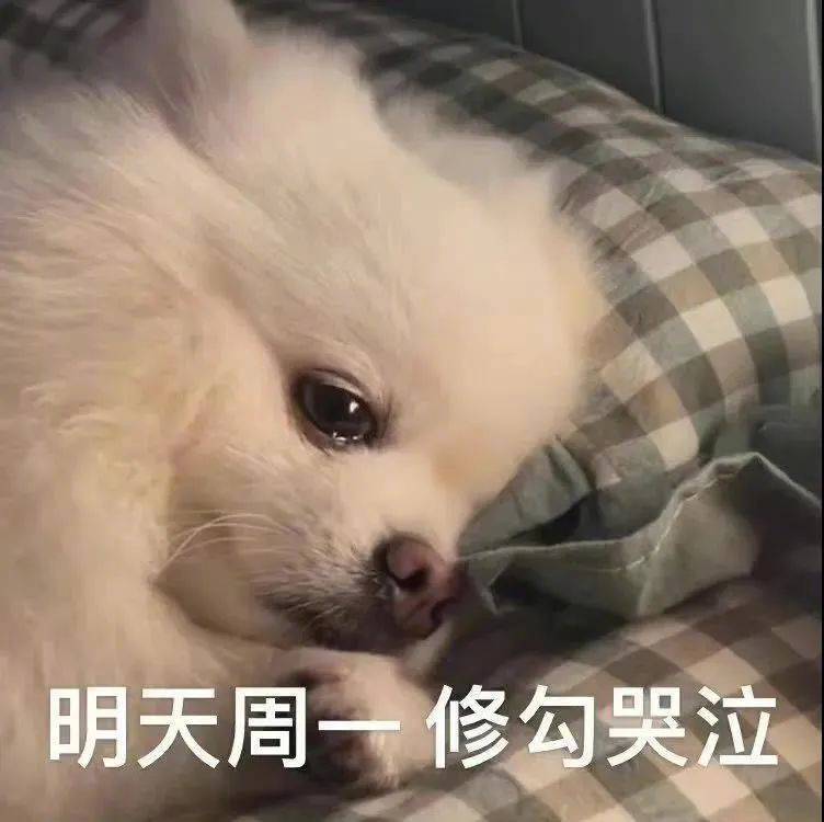 我带你呀 我很厉害的