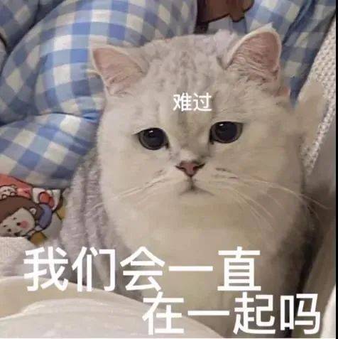 我可不是好惹的