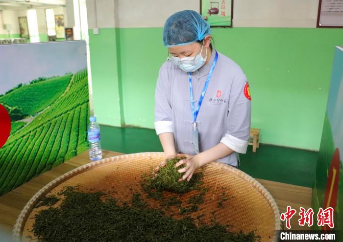 江西修水：制茶匠人齐聚 斗茶技赛茶香