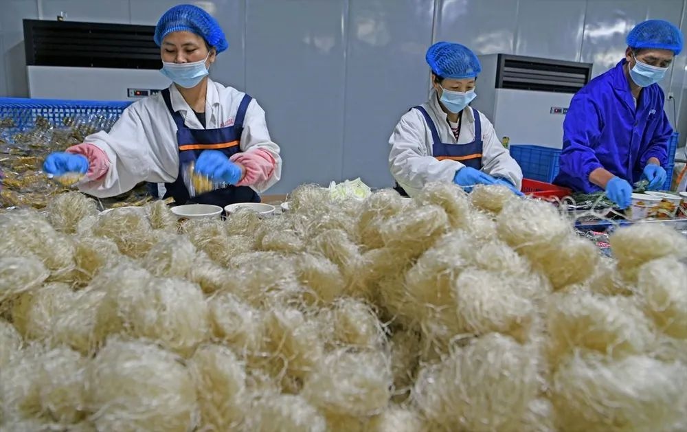 一碗淮南牛肉汤熬出未来无限可能