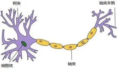Transformer到底解决什么问题？