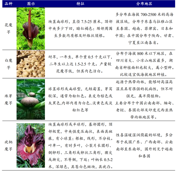 年轻人“赎罪式零食”爆火，吃出三只牛股