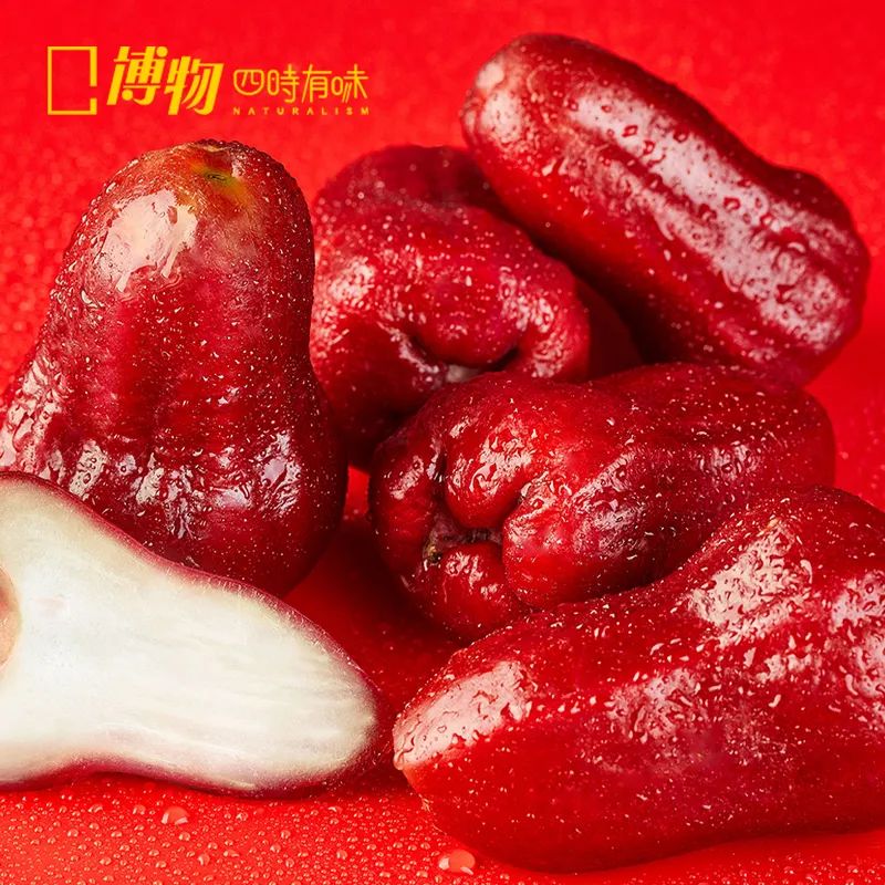 南方人藏了多年的水炸弹，咬开像在喝果汁？