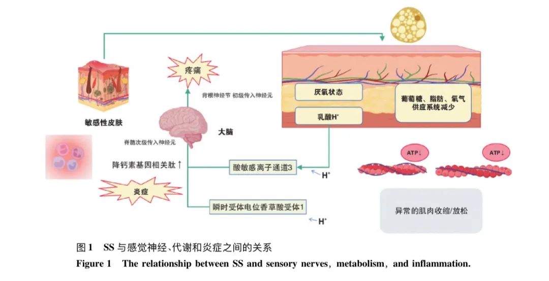 敏感肌自救指南来啦！你的皮肤为什么总“玻璃心”？