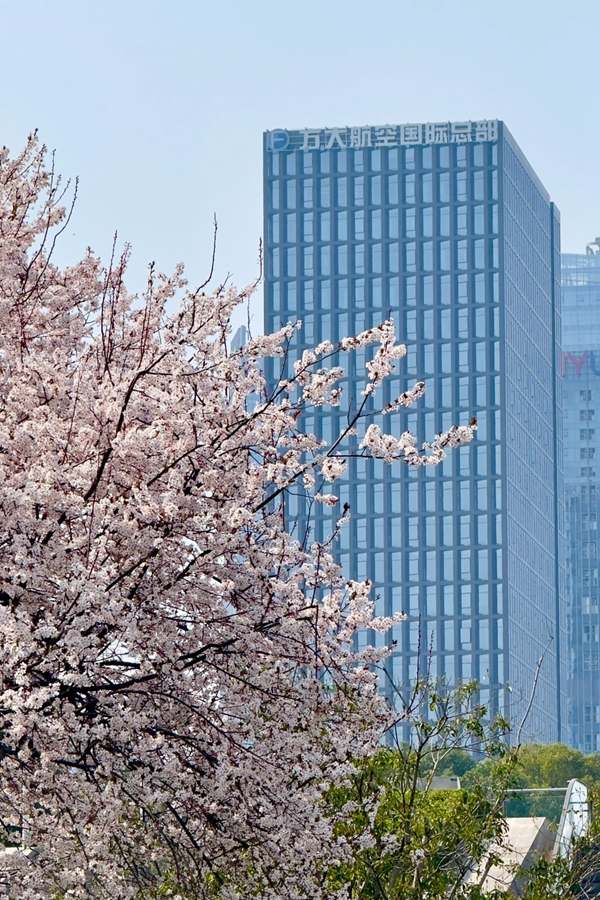 临空经济赋能内陆开放 方大重庆航空城打造高质量发展强引擎