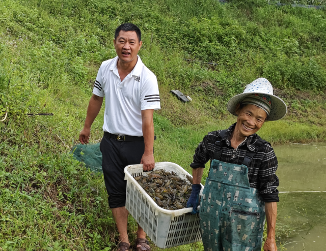 开屏策划｜云南，你让我感到陌生！