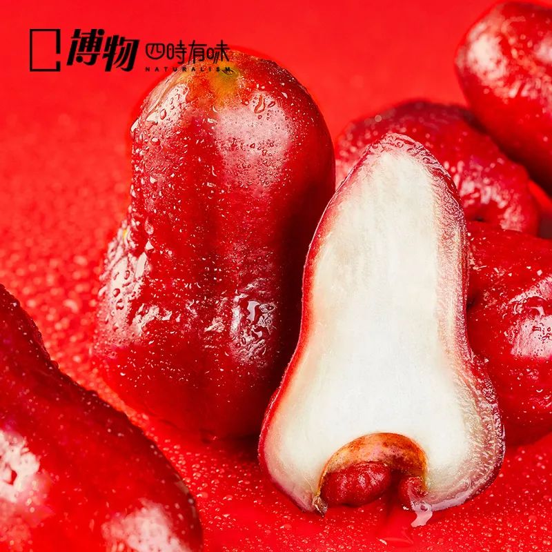 南方人藏了多年的水炸弹，咬开像在喝果汁？