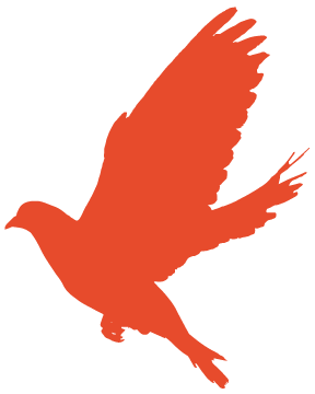 好消息！临沂15所！向社会开放！（名单）