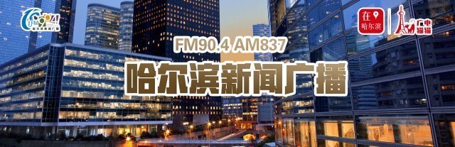 哈尔滨市人力资源和社会保障局,哈尔滨市人力资源和社会保障局官网