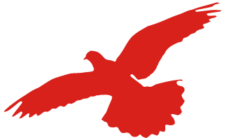 好消息！临沂15所！向社会开放！（名单）