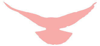 好消息！临沂15所！向社会开放！（名单）