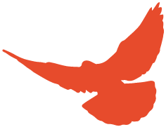 好消息！临沂15所！向社会开放！（名单）