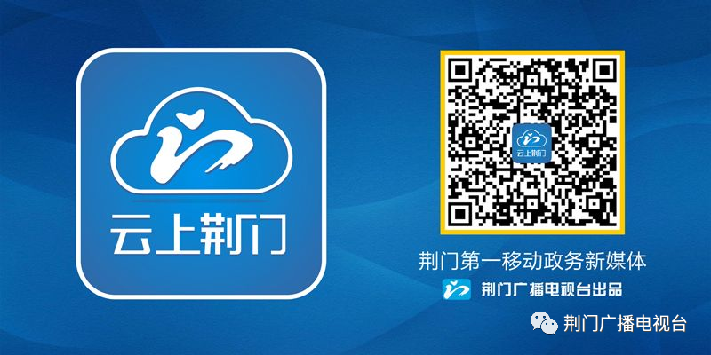 荆门车辆违章查询,荆门车辆违章查询系统