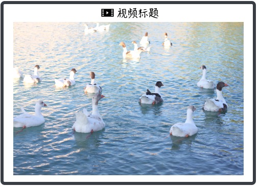 垂直起降的电动飞行汽车！这家德国公司创造历史