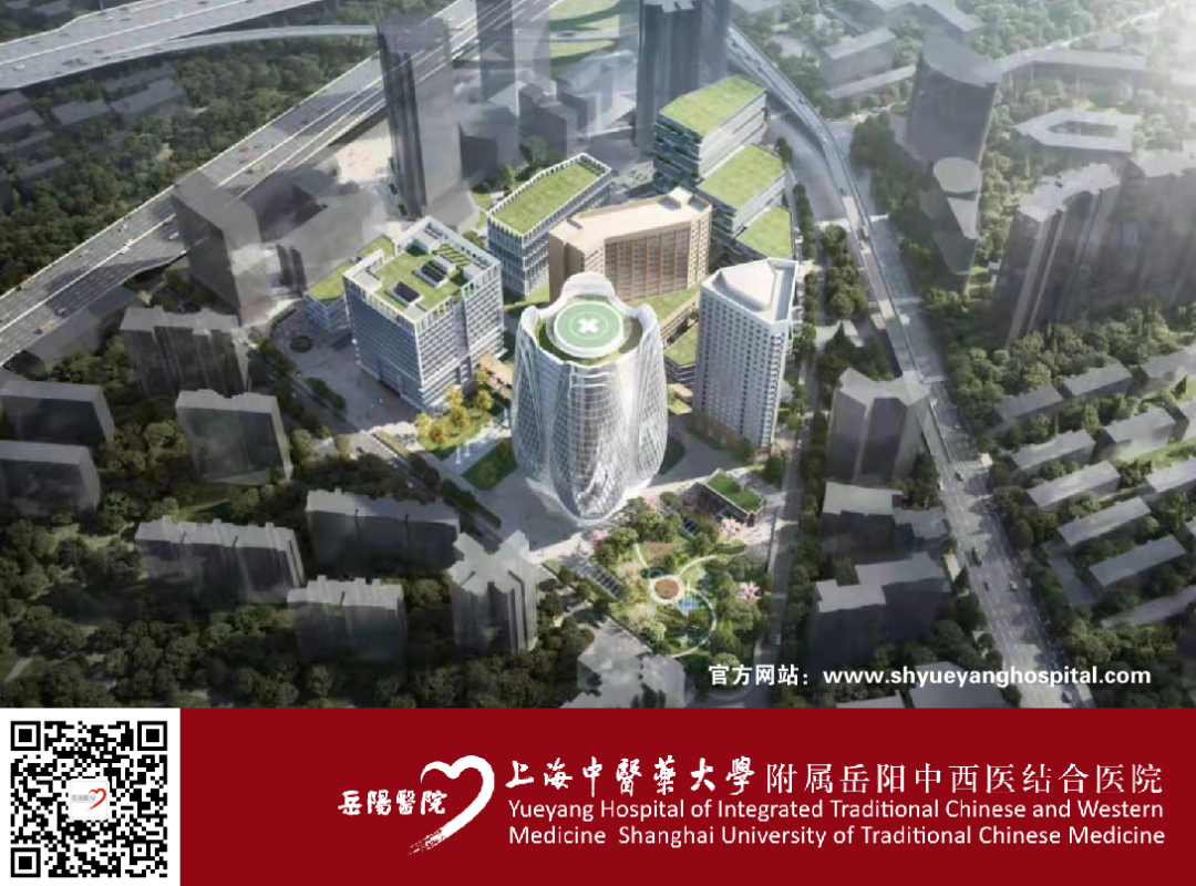 岳阳医院援滇医疗队启程赴云南文山州开展中医药对口帮扶工作