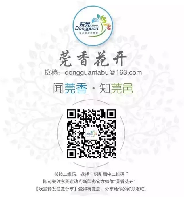 粤S注意！最严交通整治来了！