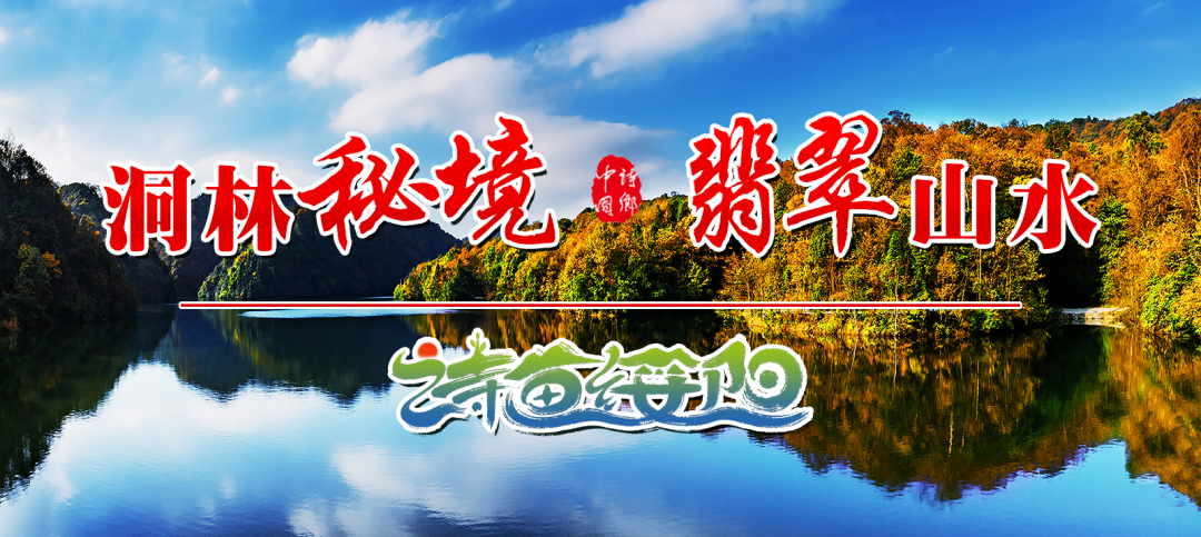 贵州志愿者注册（图解）
